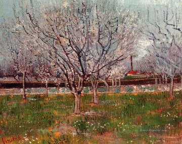 Vincent Van Gogh Werke - Blühender Obstgarten Pflaumenbäume Vincent van Gogh